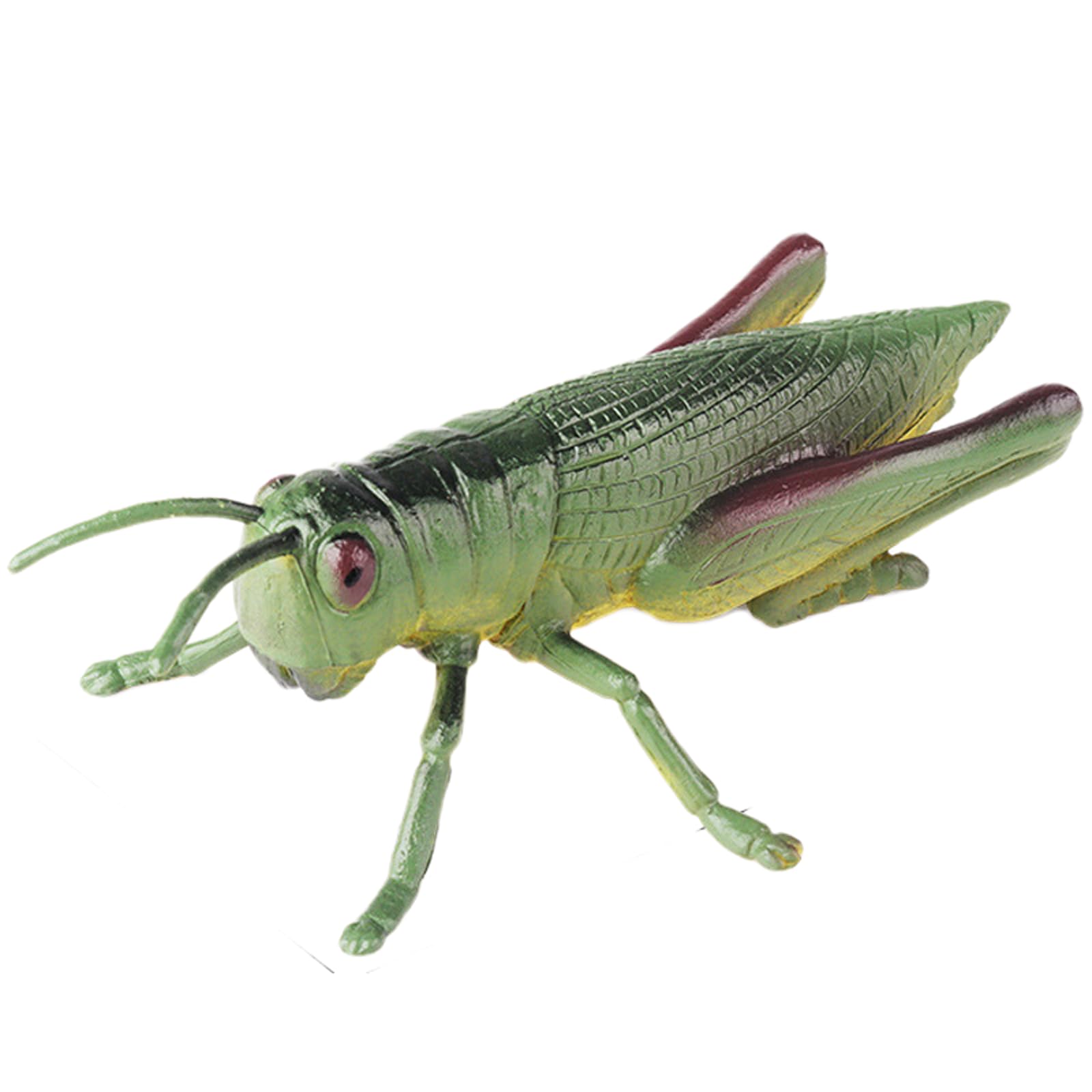 Amazon.com: AENIMELY Large Grasshopper Figurine – Hollow Realistic